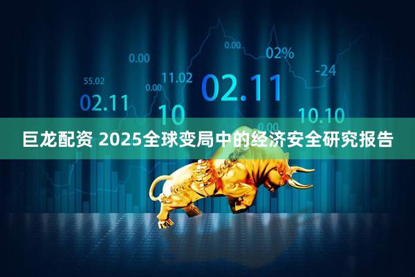巨龙配资 2025全球变局中的经济安全研究报告